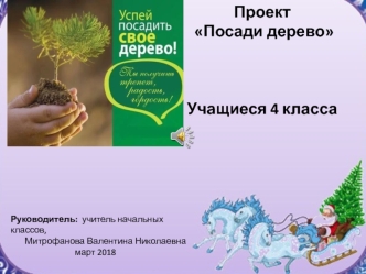 Проект Посади дерево