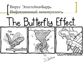 Вирус Эпштейна-Барр. Инфекционный мононуклеоз