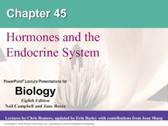 Hormones and the Endocrine System