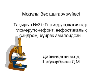 Гломерулопатиялар: гломерулонефрит, нефротикалық синдром, бүйрек амилоидозы