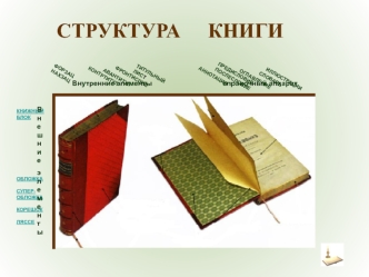 СТРУКТУРА    КНИГИ