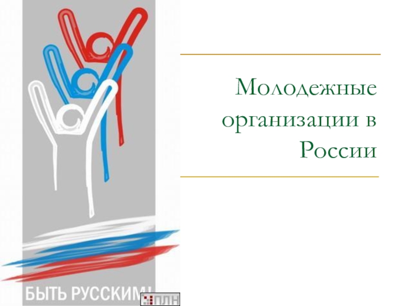 Молодежные политические организации активные строители новой россии презентация