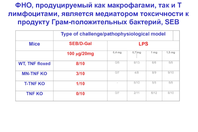 Фно фактор некроза опухоли