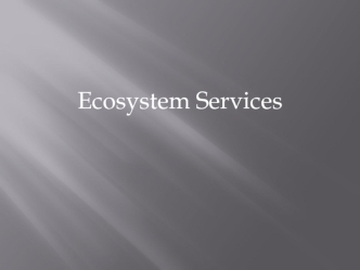 Ecosystem services