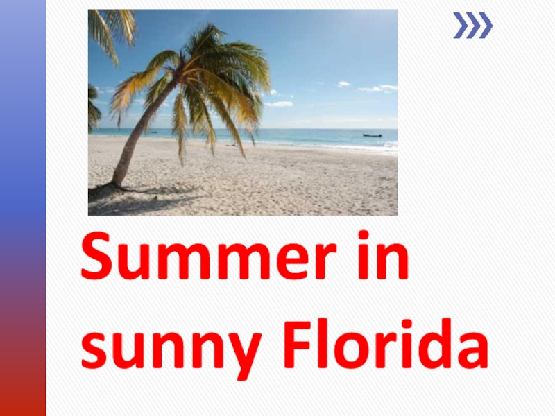 Summer in sunny Florida