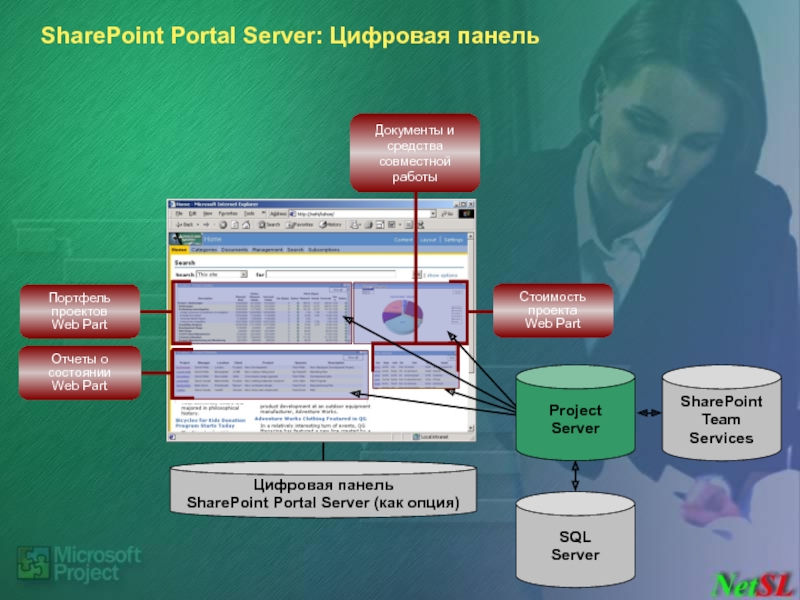 SharePoint Portal Server: Цифровая панель  SQL Server SharePoint  Team Services