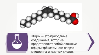 Жиры. Общее строение жиров