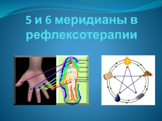 5 и 6 меридианы в рефлексотерапии. Система у-син