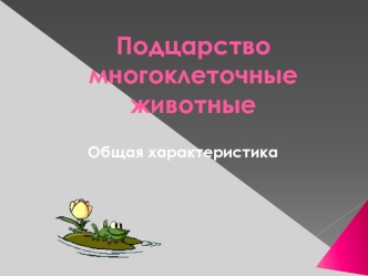 Подцарство многоклеточные животные