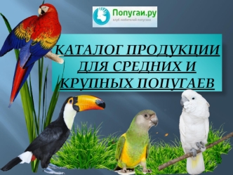 Каталог продукции для средних и крупных попугаев