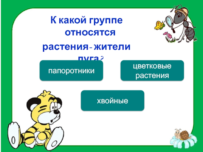 К какой группе относится каждая. К какой группе относится человек. Обобщение по окружающему миру. К какой группе относятся растения жители воды. К какой группе относятся легкие.