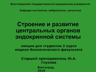 Строение и развитие центральных органов эндокринной системы