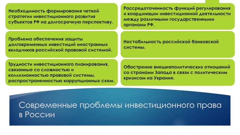 Лицо осуществляющее реализацию инвестиционного проекта именуется