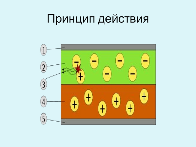 13 принцип