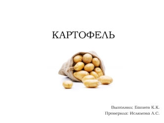 Обзор рынка картофеля в Казахстане