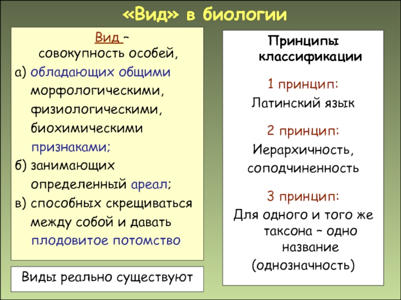 Понятие тип в биологии. Вид это в биологии. Понятие вид в биологии. Вид это в биологии кратко. Вид в биологии примеры.