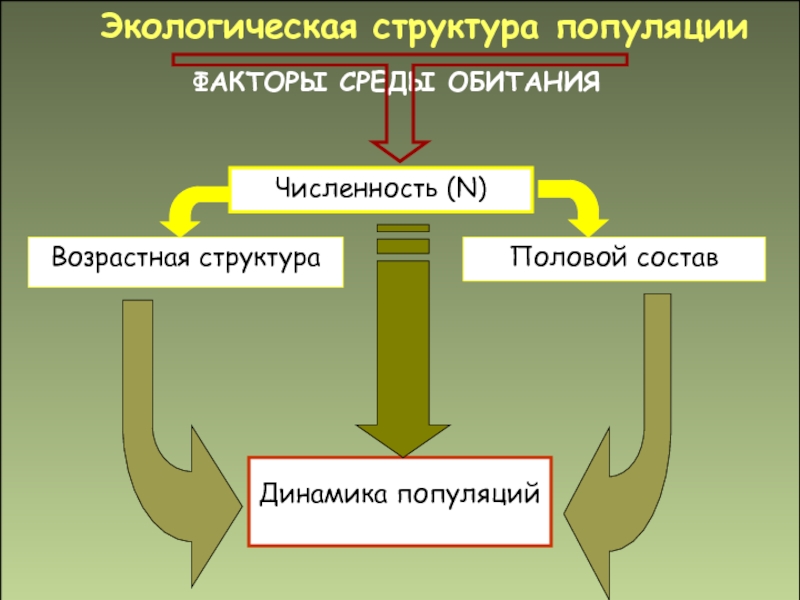 Фактор строений. Экологическая структура популяции. Структура популяции это в экологии. Структура популяции таблица. Характеристика структуры популяции.