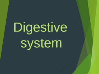 Digestive system