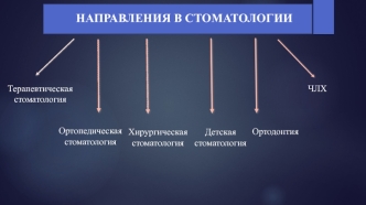 Направления в стоматологии