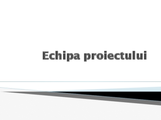 Echipa proiectului