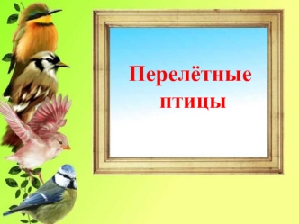 Перелётные птицы