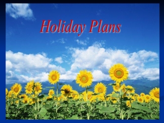 Holiday plans