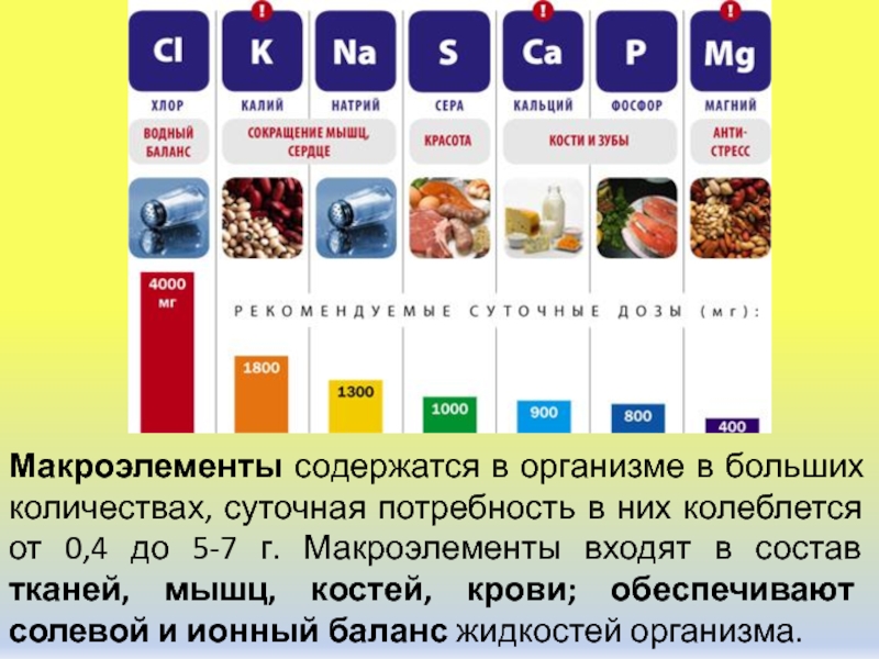 3 макроэлемента. Макроэлементы. Микро и макроэлементы.