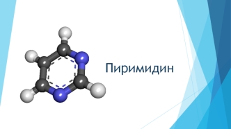 Пиримидин (шестичленный гетероцикл с двумя атомами азота)