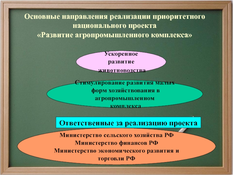 Национальный проект развитие аграрно промышленного комплекса