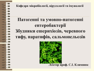 Патогенні та умовно-патогенні ентеробактерії. Збудники ешерихіозів, черевного тифу, паратифів, сальмонельозів