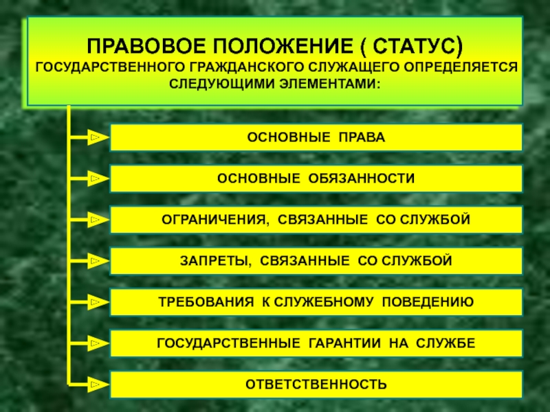 Основные права и обязанности гражданского служащего презентация