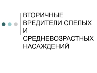 Вторичные вредители спелых и средневозрастных насаждений. (Лекция 12)