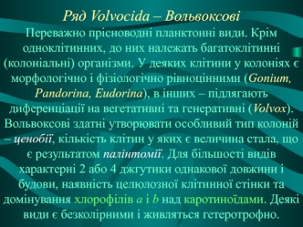 Ряд volvocida. Вольвоксові переважно прісноводні планктонні види, крім одноклітинних