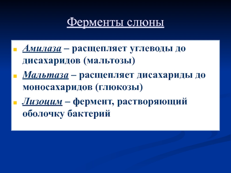 Какую функцию выполняют ферменты слюны. Мальтаза фермент. Мальтаза расщепляет. Амилаза и мальтаза. Ферменты слюны и их функции.