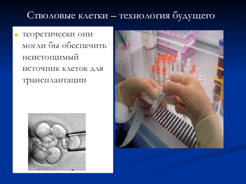 Клеточные технологии презентация