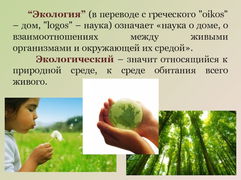 Экология словами ребенка. Экология перевод с греческого. Экология перевод. Экология в переводе с греческого означает. Экология это наука.