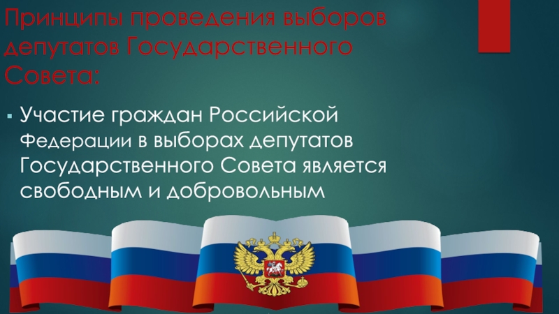 Принципы проведения выборов депутатов Государственного Совета:Участие граждан Российской Федерации в выборах