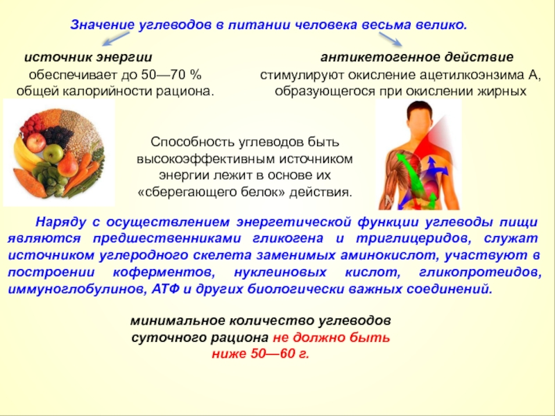 Значение углеводов. Значение углеводов в питании. Значение углеводов в рационе человека. Значение БЖУ В питании человека. Роль углеводов в пищевом рационе.