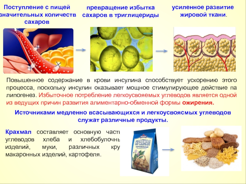 Повышенное содержание. Углеводы повышают инсулин. Инсулин в крови. Повышение инсулина. Высокий инсулин в крови симптомы.