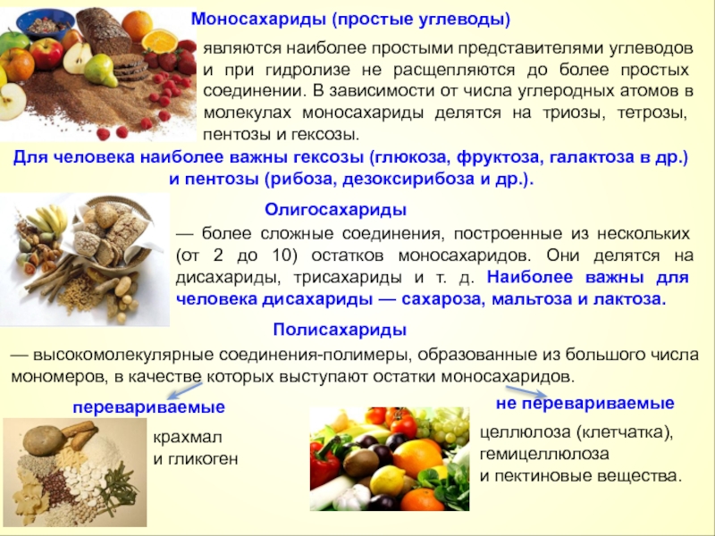 Функции простых углеводов. Представители углеводов. Важные представители углеводов. Углеводы основные представители. Представителем простых углеводов является.