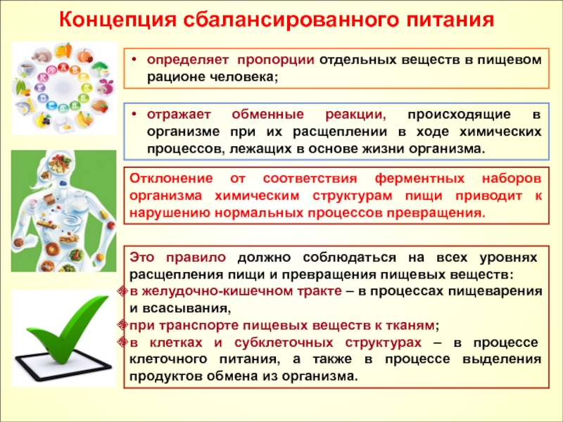 Теории питания презентация