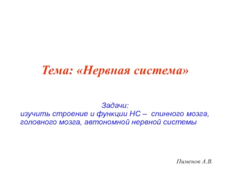 Нервная система. Строение нервной системы