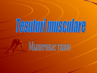 Tesuturi musculare