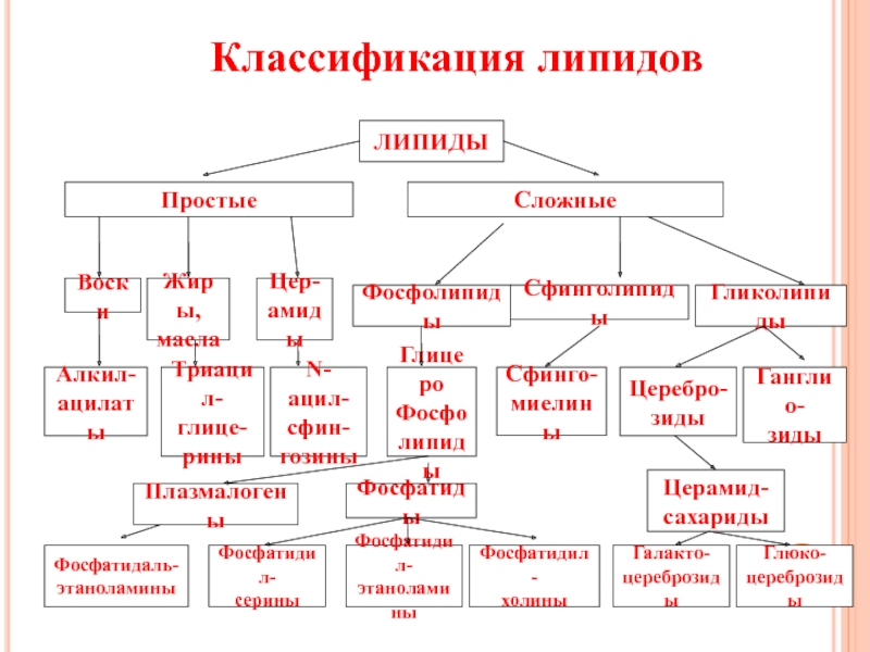 Простыми липидами являются