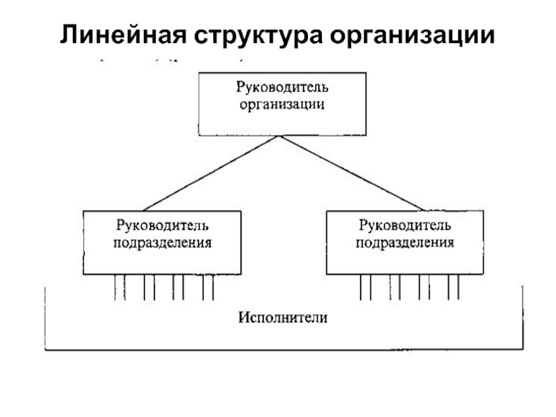 Структура агентства недвижимости схема