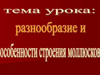 Разнообразие и особенности строения моллюсков