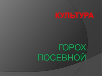 Культура горох посевной