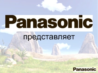 Туристическая компания Panasonic