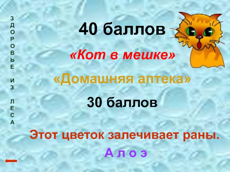 40 баллов. Котта балла. Вопросы на 50 балов про котов. Поставьте 6 баллов кот.