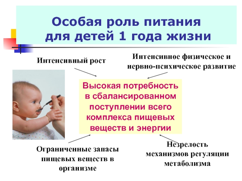 Питание детей 1 года жизни. Роль питания. Роль правильного питания в развитии ребенка. Основная роль питания в жизни ребёнка. Организация питания детей первого года жизни.